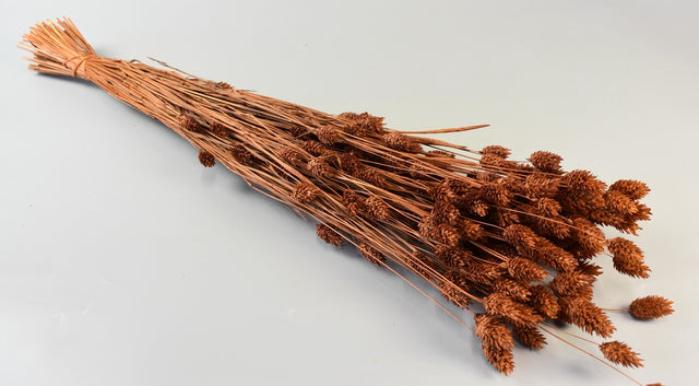 Image for Tallaris 100gr maro