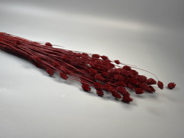 Image for Tallaris 100gr bordeaux