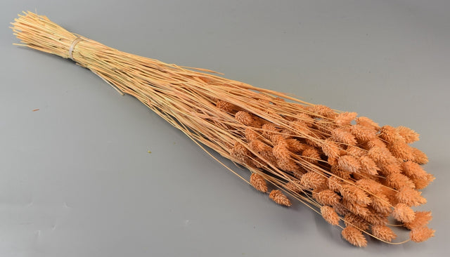 Image for Tallaris 100gr inalbit piersica