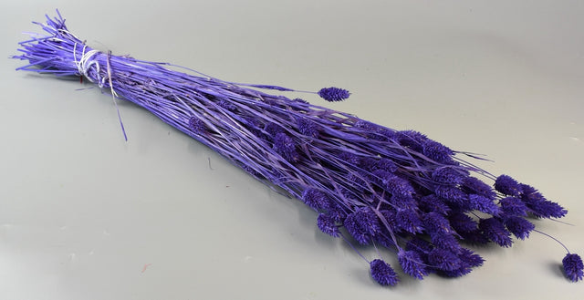 Image for Tallaris 100gr.inalbit mov