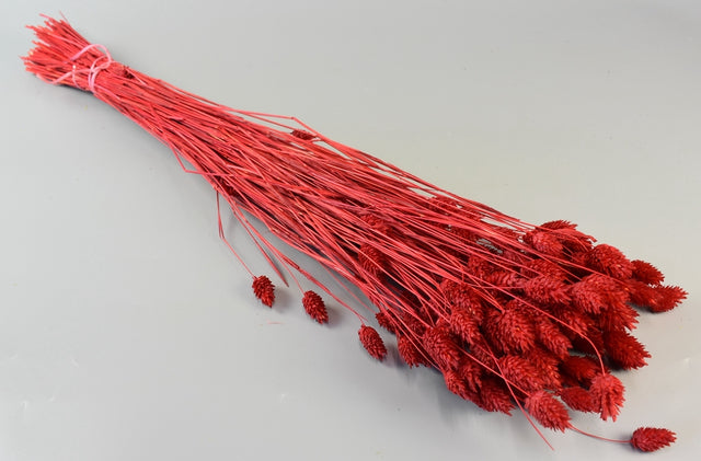 Image for Tallaris 100gr inalbit rosu