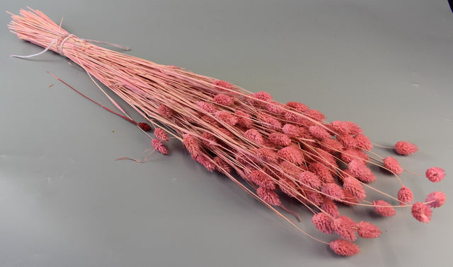 Image for Tallaris inalbit roz