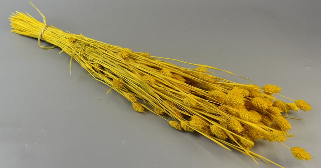 Image for Tallaris 100gr inalbit galben