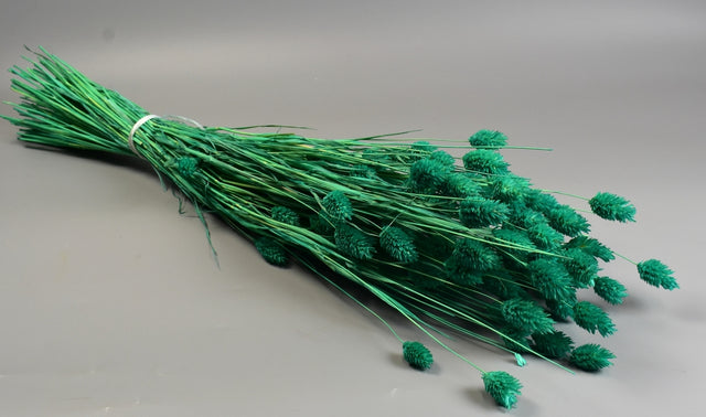 Image for Tallaris 100gr inalbit turcoaz