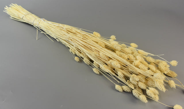 Image for Tallaris 100gr inalbit