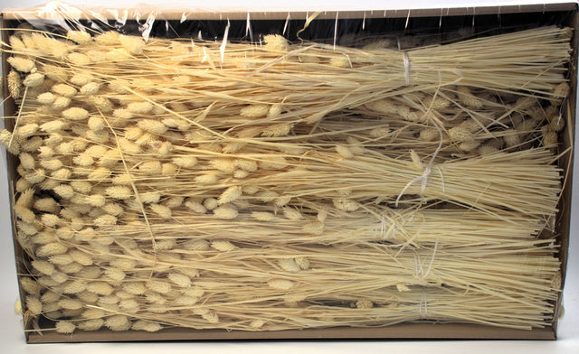 Image for Tallaris inalbit 100gr x15 pachet