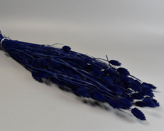 Image for Tallaris 100g albastru