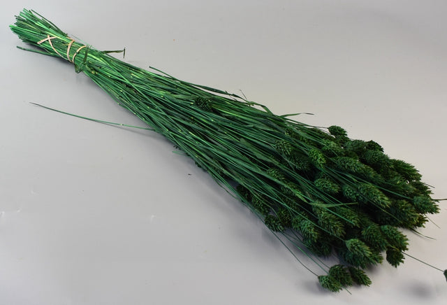 Image for Tallaris 100g verde inchis