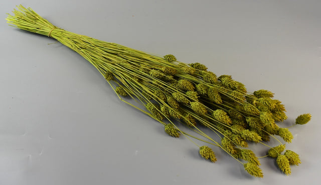 Tallaris 100g verde deschis