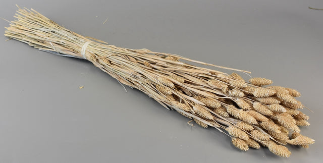 Image for Tallaris 100gr cu chiciura