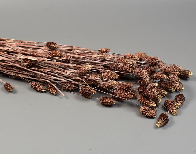 Image for Tallaris 100g cu chiciura maro