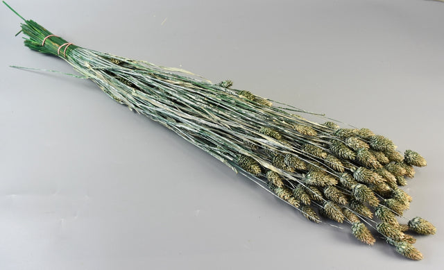 Image for Tallaris 100g cu chiciura verde inchis