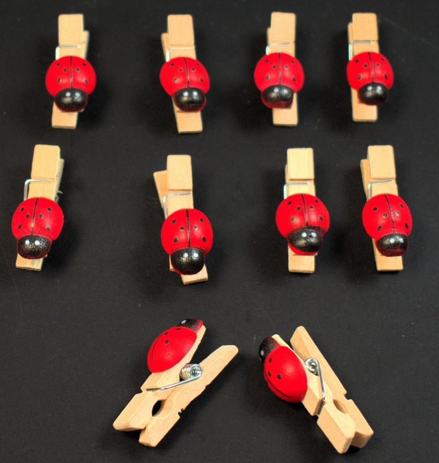 Image for Fig.buburuza cu clame 3.5x1.3x1.8cm S/50