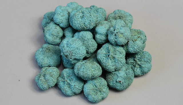 Image for Usturoi vopsit aqua