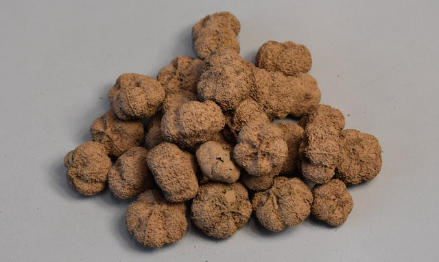 Image for Usturoi vopsite cappuccino