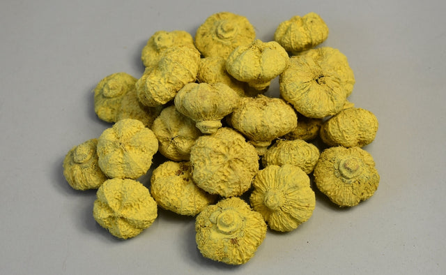 Image for Usturoi vopsit galben