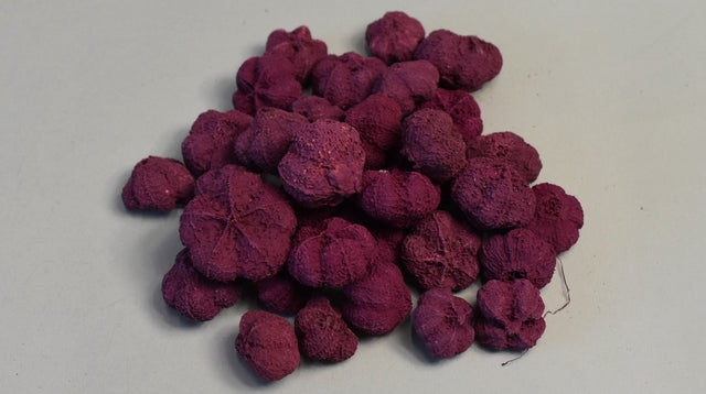 Image for Usturoi vopsit mure