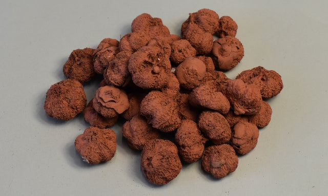 Image for Usturoi vopsit teracota