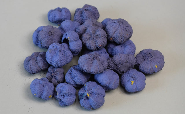 Image for Usturoi vopsit very pery