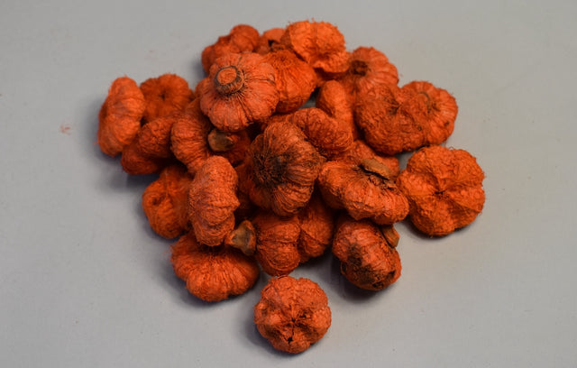 Image for Usturoi inalbit portocaliu