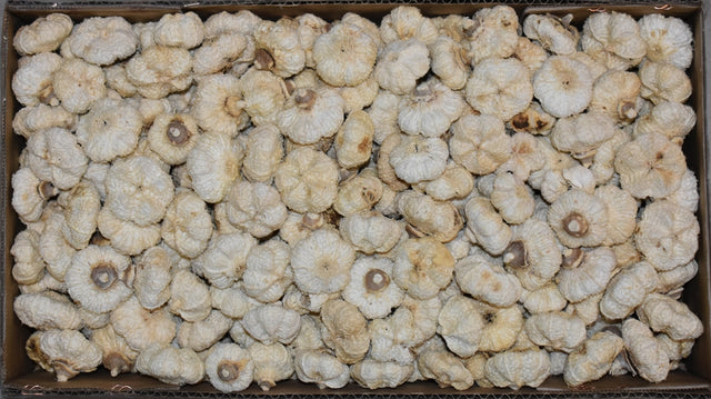 Image for Usturoi inalbit 1.3kg