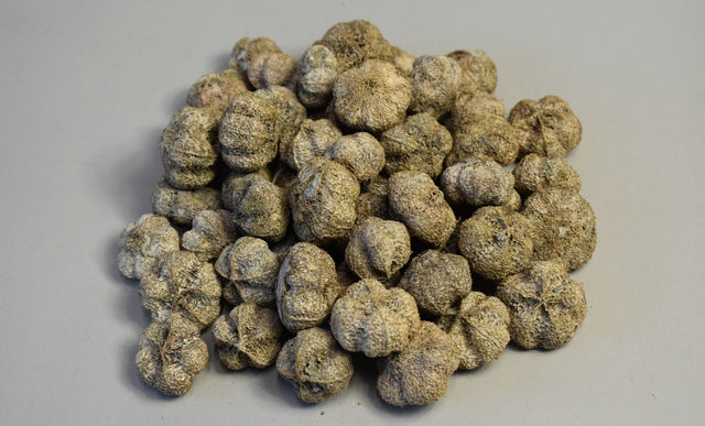 Image for Usturoi cu chiciura