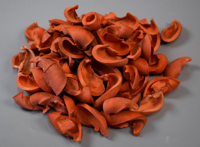 Image for Urechisori inalbit portocaliu