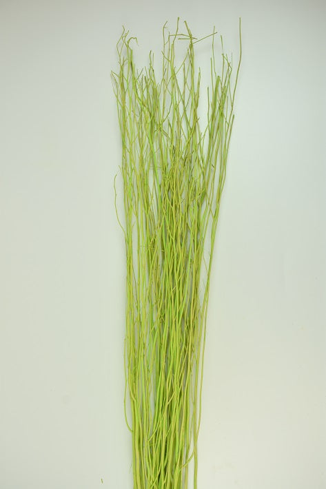 Image for Creanga salcie vopsit verde deschis