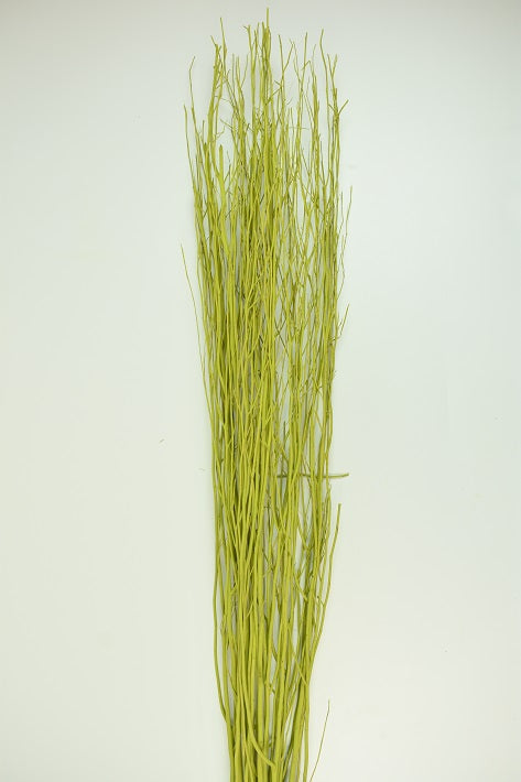 Image for Creanga salcie vopsit verde oliv