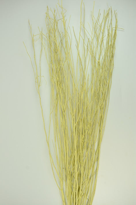 Image for Creanga salcie vopsit galben