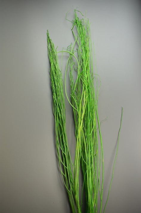 Image for Creanga salcie inalbit verde deschis