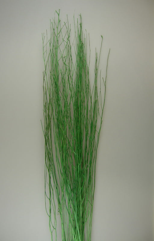 Image for Creanga salcie verde deschis