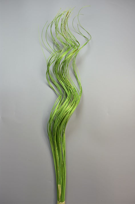 Image for Creanga salcie Ting Ting 100cm verde deschis