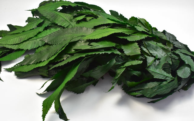 Image for Ramura de castan prep.verde oliv