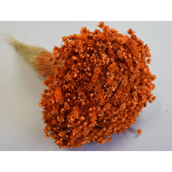 Glixia Marcela 75g portocaliu