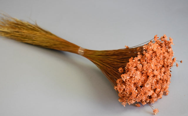 Image for Glixia 50g piersica