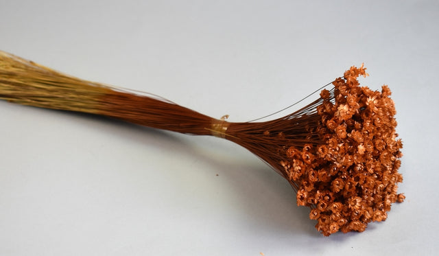 Image for Glixia 50g maro