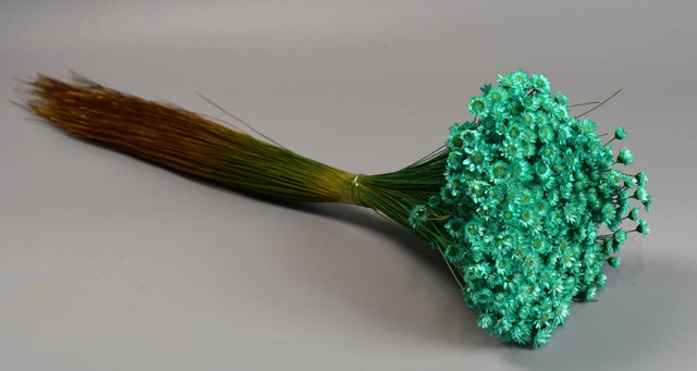 Image for Glixia 50gr turcoaz