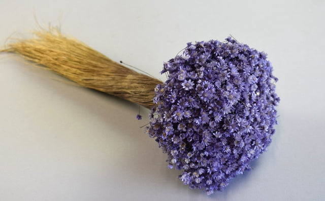 Image for Glixia Marcela 75g mov