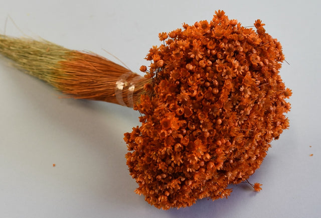 Image for Glixia Marcela 75g portocaliu