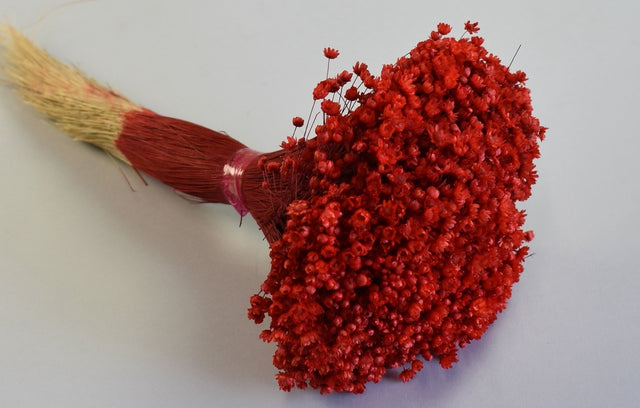 Image for Glixia marcela 75gr rosu