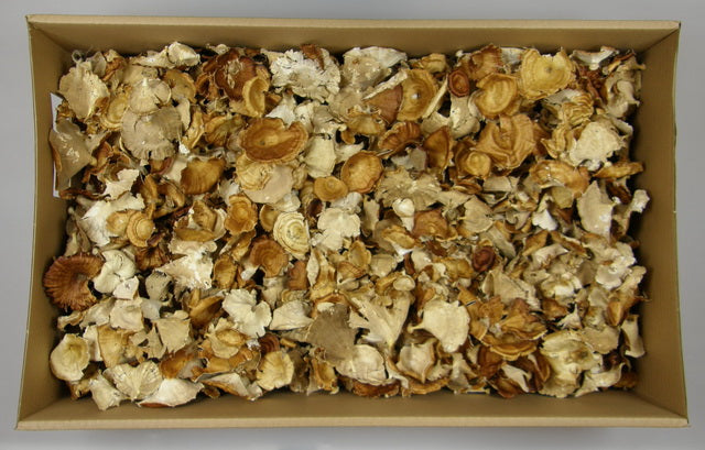 Image for Ciuperci mixte crem