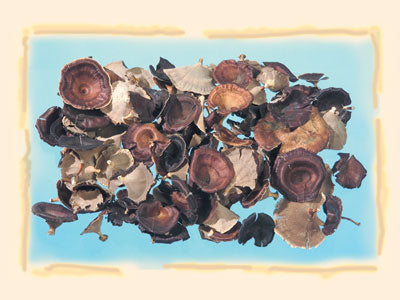 Image for Ciuperci mixte natur