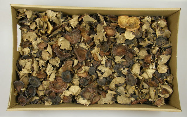 Image for Ciuperci mixte natur 1.2kg