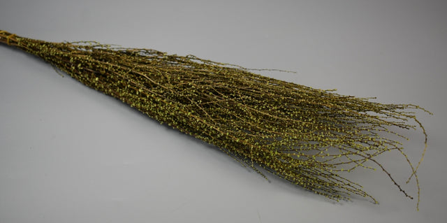 Image for Matisor marunte verde