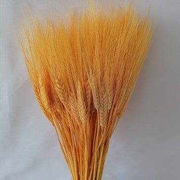 Grau cu spic lung piersica