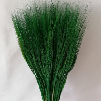 Grau cu spic lung verde inchis