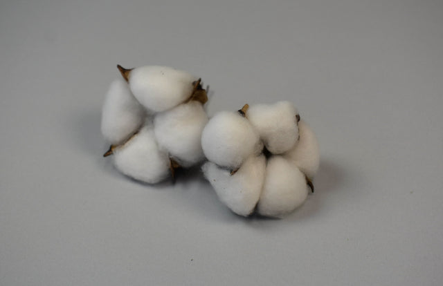 Image for Flori de bumbac natur