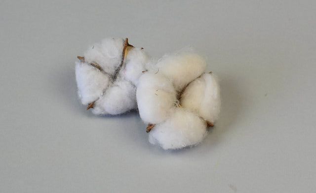 Image for Flori de bumbac natur 15buc/pac.