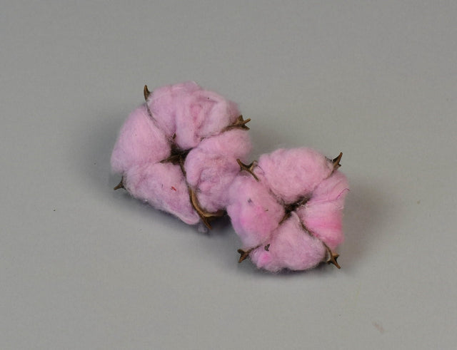 Image for Flori de bumbac mov deschis